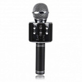 Колонка с функцией Караоке Микрофона Wster WS-858 black