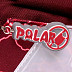 Школьный рюкзак Polar Д1204 burgundy