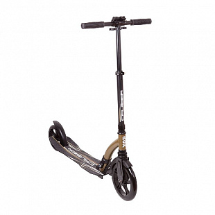 Самокат RGX Cruiser black/gold