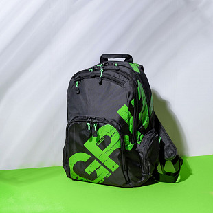 Рюкзак школьный GRIZZLY RU-423-12 /3 ligjt green