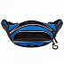 Сумка поясная GRIZZLY MM-916-2 /5 blue