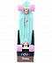 Penny board (пенни борд) Ridex Minty 22'' Penny board (пенни борд) Ridex Minty 22''