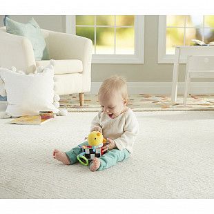 Подвеска Fisher Price Птичка DFP95
