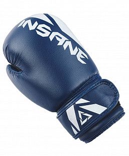 Перчатки боксерские Insane MARS IN22-BG100 8 oz	 blue