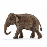 Фигурка животного Schleich Азиатский слон самка 14753
