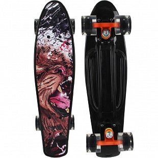Penny board (пенни борд) RGX 209 PNB-07 22" LED