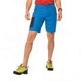 Шорты мужские Jack Wolfskin Active Track Shorts Men brilliant blue