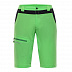 Шорты мужские Alpine Pro Cuom MPAJ176508 green