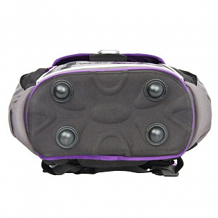 Школьный рюкзак Polar Д1408 purple