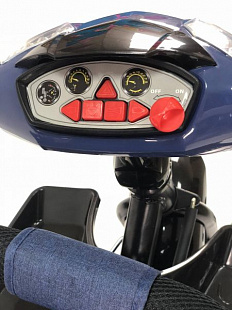 Велосипед трицикл Favorit Trike Lux FTL-1210-1 Blue