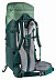 Рюкзак Deuter Aircontact Lite 60+10 SL 3340621-2264 aloe/forest (2021)