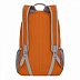Городской рюкзак GRIZZLY RQ-005-1 /5 orange