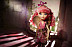 Куклa Ever After High Школа долго и счастливо C.A. Cupid DRM05 BDB09