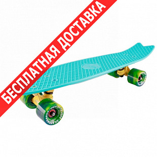 Penny board (пенни борд) Tech Team Fishboard 23" 2018 turquoise