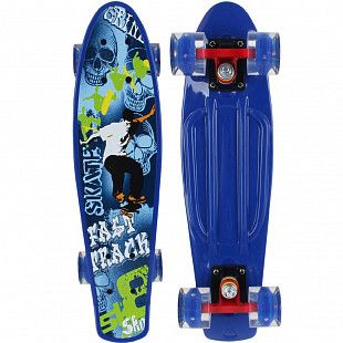 Penny board (пенни борд) RGX 208 PNB-07 22" LED
