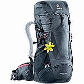 Рюкзак Deuter Futura Pro 34 SL 3401018-4701 graphite/black