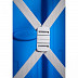 Чемодан Samsonite Toung Young 70U-01005 Blue
