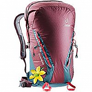 Рюкзак Deuter Gravity Rock&Roll 28 SL 3362219-5324 maron/arctic