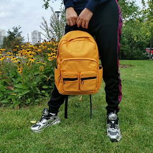 Городской рюкзак Polar 18262 red