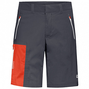 Брюки мужские Jack Wolfskin Overland Shorts M ebony