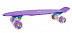 Penny board (пенни борд) RGX PNB-01GW 22" Violet
