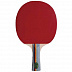 Ракетка для настольного тенниса Motion Partner MP222