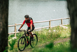 Велосипед Merida Big.Nine 100 3x 29" (2021) bronze/blue