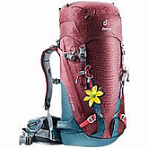 Рюкзак Deuter Guide 30+ SL 3361017-5324 maron/arctic