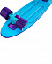 Penny board (пенни борд) Ridex Paradise 22''