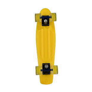 Penny board (пенни борд) RGX 200 PNB-07 22" LED
