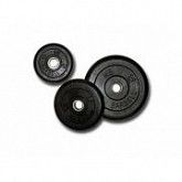 Диск обрезиненный KP-2,5 26