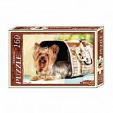 Пазлы Рыжий Кот Маленькая собачка КБ160-4036