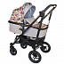 Коляска 2 в 1 BabyHit Drive 2 (Flower)