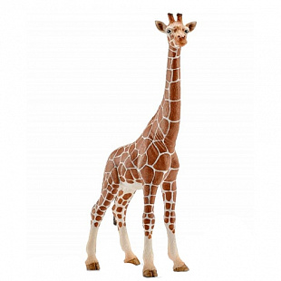 Фигурка животного Schleich Жираф самка 14750