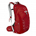 Рюкзак универсальный Osprey Talon 22 M-L sample red