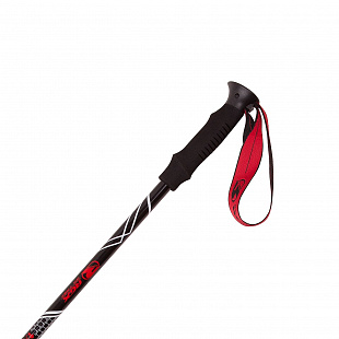 Палки треккинговые RGX TFG-05