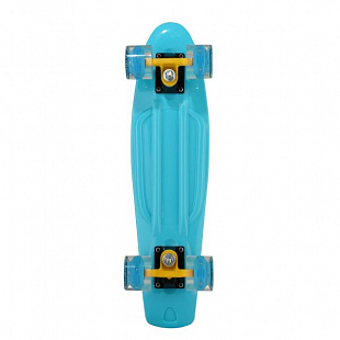 Penny board (пенни борд) RGX 201 PNB-07 22" LED
