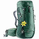 Рюкзак Deuter Futura Pro 34 SL 3401018-2247 seagreen/forest (2020-21)