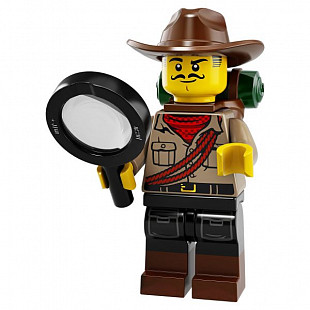 Конструктор Сюрприз LEGO Minifigures серия 19 71025