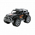 Автомобиль Полесье Легион №2 76021 Black