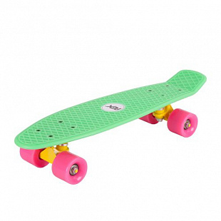 Penny board (пенни борд) RGX PNB-02 22" Green