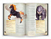 Настольная игра Hobby World Dungeons & Dragons. Энциклопедия чудовищ 73603-R Настольная игра Hobby World Dungeons & Dragons. Энциклопедия чудовищ 73603-R