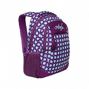 Рюкзак GRIZZLY RD-830-4 purple/turquoise