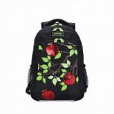 Рюкзак школьный GRIZZLY RG-062-1 /3 black