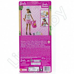 Кукла Barbie Wellness Doll (GKH73 HNC39)