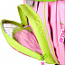 Школьный рюкзак Polar Д1203 pink