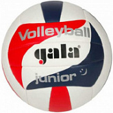 Мяч волейбольный Gala Junior BV5093SC