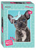 Мозаика Step Puzzle Мирна Studio Pets By Myrna 80 77149