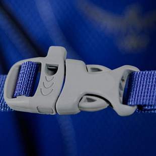 Рюкзак детский Osprey Pogo 24 Blue