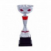 Кубок 110404С 27 см